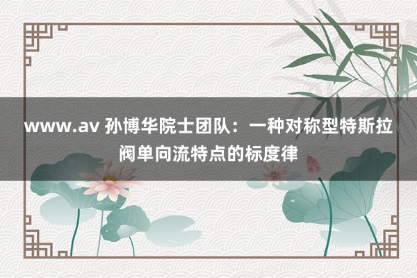 www.av 孙博华院士团队：一种对称型特斯拉阀单向流特点的标度律