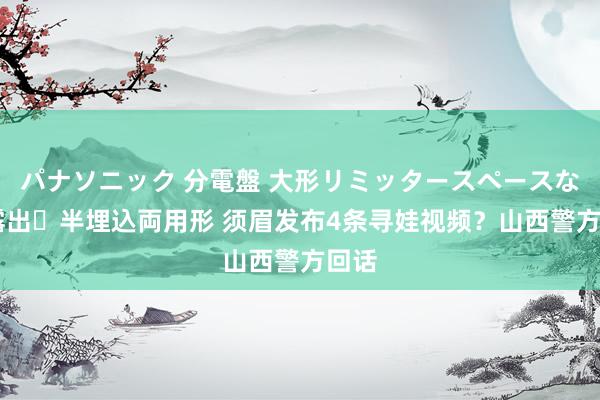 パナソニック 分電盤 大形リミッタースペースなし 露出・半埋込両用形 须眉发布4条寻娃视频？山西警方回话