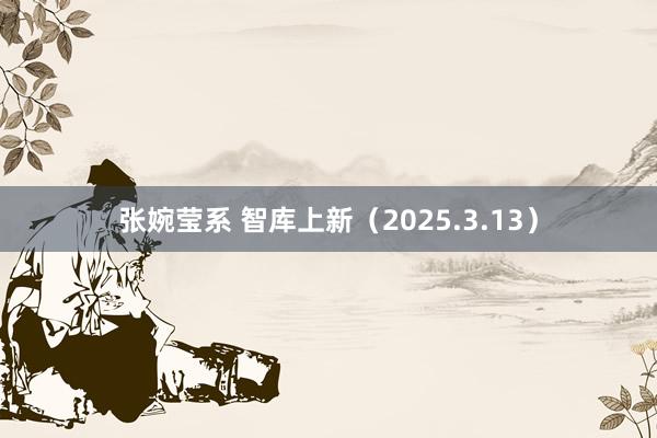 张婉莹系 智库上新（2025.3.13）