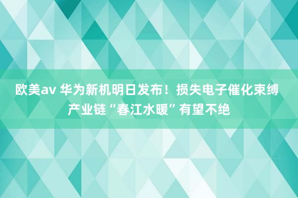 欧美av 华为新机明日发布！损失电子催化束缚 产业链“春江水暖”有望不绝