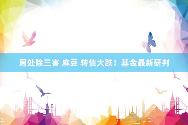 周处除三害 麻豆 转债大跌！基金最新研判