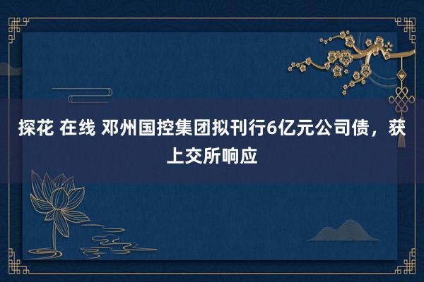 探花 在线 邓州国控集团拟刊行6亿元公司债，获上交所响应
