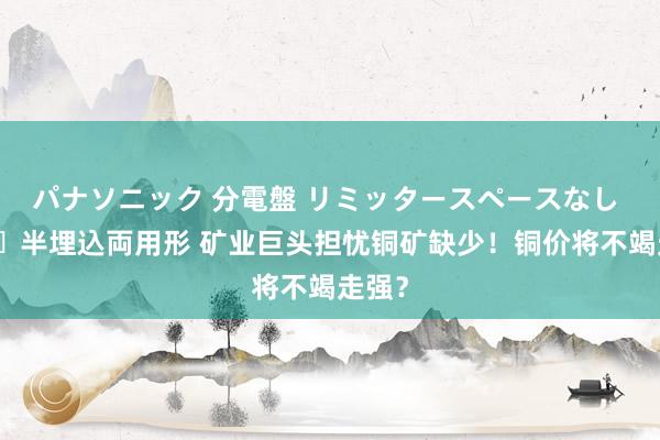 パナソニック 分電盤 リミッタースペースなし 露出・半埋込両用形 矿业巨头担忧铜矿缺少！铜价将不竭走强？