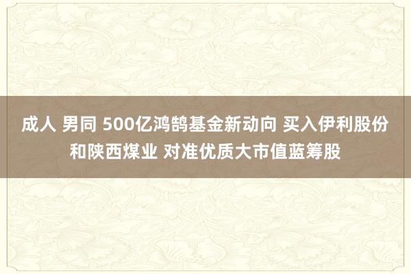 成人 男同 500亿鸿鹄基金新动向 买入伊利股份和陕西煤业 对准优质大市值蓝筹股