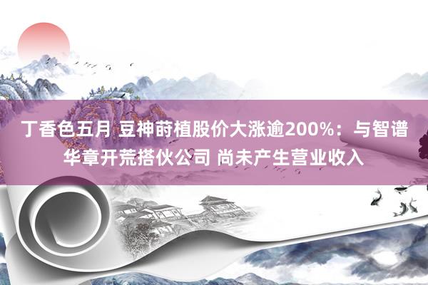 丁香色五月 豆神莳植股价大涨逾200%：与智谱华章开荒搭伙公司 尚未产生营业收入